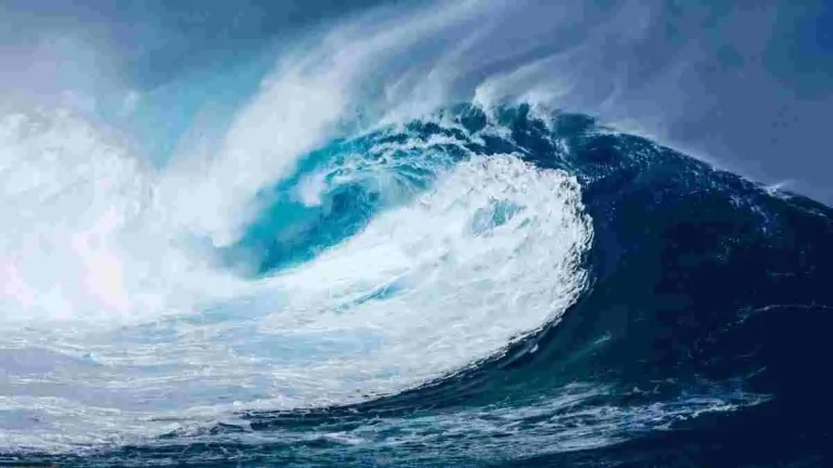 Exploring the Impact of Ocean Waves on Seismic Activities