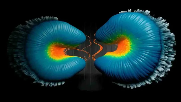 Innovative Algorithm Unveils Insights into Biological Materials